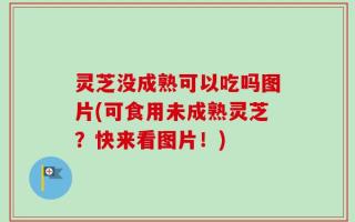 灵芝没成熟可以吃吗图片(可食用未成熟灵芝？快来看图片！)