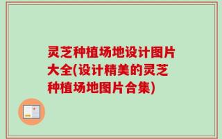 灵芝种植场地设计图片大全(设计精美的灵芝种植场地图片合集)