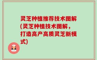 灵芝种植推荐技术图解(灵芝种植技术图解，打造高产高质灵芝新模式)