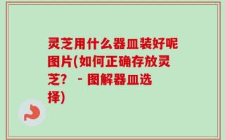 灵芝用什么器皿装好呢图片(如何正确存放灵芝？ - 图解器皿选择)