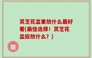 灵芝花盆里放什么最好看(最佳选择！灵芝花盆应放什么？)