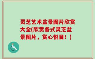 灵芝艺术盆景图片欣赏大全(欣赏各式灵芝盆景图片，赏心悦目！)