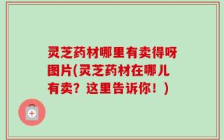 灵芝药材哪里有卖得呀图片(灵芝药材在哪儿有卖？这里告诉你！)