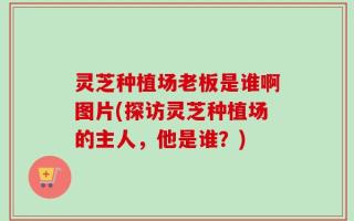 灵芝种植场老板是谁啊图片(探访灵芝种植场的主人，他是谁？)