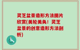灵芝盆景造形方法图片欣赏(美轮美奂！灵芝盆景的创意造形方法剖析)