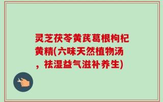 灵芝茯苓黄芪葛根枸杞黄精(六味天然植物汤，祛湿益气滋补养生)