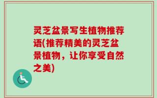 灵芝盆景写生植物推荐语(推荐精美的灵芝盆景植物，让你享受自然之美)