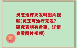 灵芝治疗秃发吗图片视频(灵芝可治疗秃发？研究表明有希望，详情查看图片视频)