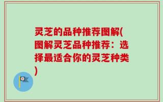 灵芝的品种推荐图解(图解灵芝品种推荐：选择最适合你的灵芝种类)