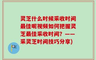 灵芝什么时候采收时间最佳呢视频如何把握灵芝最佳采收时间？——采灵芝时间技巧分享)