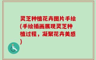 灵芝种植花卉图片手绘(手绘插画展现灵芝种植过程，凝聚花卉美感)
