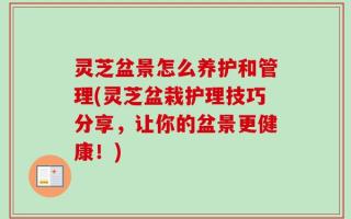 灵芝盆景怎么养护和管理(灵芝盆栽护理技巧分享，让你的盆景更健康！)