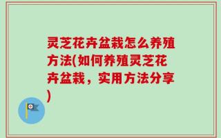 灵芝花卉盆栽怎么养殖方法(如何养殖灵芝花卉盆栽，实用方法分享)