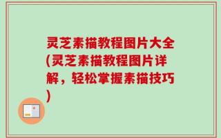 灵芝素描教程图片大全(灵芝素描教程图片详解，轻松掌握素描技巧)