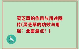 灵芝草的作用与用途图片(灵芝草的功效与用途：全面盘点！)