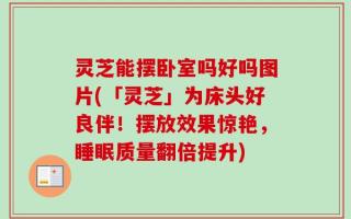 灵芝能摆卧室吗好吗图片(「灵芝」为床头好良伴！摆放效果惊艳，睡眠质量翻倍提升)
