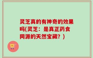 灵芝真的有神奇的效果吗(灵芝：是真正药食同源的天然宝藏？)