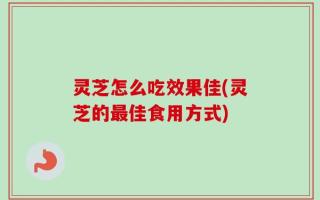 灵芝怎么吃效果佳(灵芝的最佳食用方式)