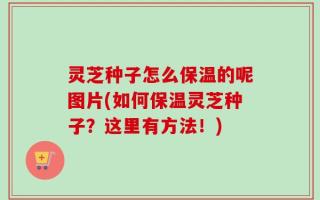 灵芝种子怎么保温的呢图片(如何保温灵芝种子？这里有方法！)