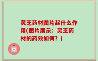 灵芝药材图片起什么作用(图片展示：灵芝药材的药效如何？)