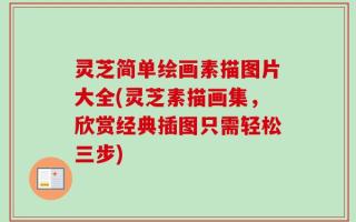 灵芝简单绘画素描图片大全(灵芝素描画集，欣赏经典插图只需轻松三步)