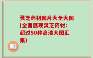 灵芝药材图片大全大图(全面展现灵芝药材：超过50种高清大图汇集)