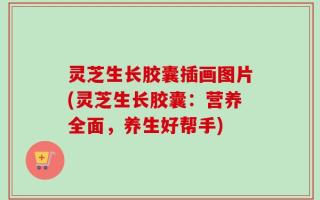 灵芝生长胶囊插画图片(灵芝生长胶囊：营养全面，养生好帮手)