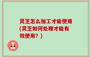 灵芝怎么加工才能使用(灵芝如何处理才能有效使用？)