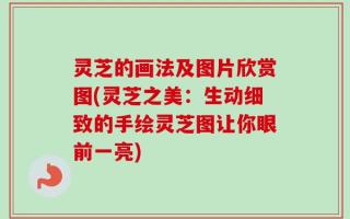 灵芝的画法及图片欣赏图(灵芝之美：生动细致的手绘灵芝图让你眼前一亮)