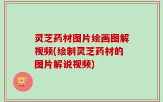 灵芝药材图片绘画图解视频(绘制灵芝药材的图片解说视频)