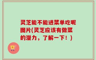 灵芝能不能进菜单吃呢图片(灵芝应该有做菜的潜力，了解一下！)