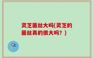 灵芝菌丝大吗(灵芝的菌丝真的很大吗？)