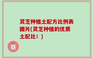 灵芝种植土配方比例表图片(灵芝种植的优质土配比！)