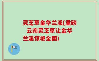 灵芝草金华兰溪(重磅  云南灵芝草让金华兰溪惊艳全国)