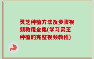 灵芝种植方法及步骤视频教程全集(学习灵芝种植的完整视频教程)