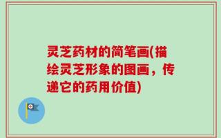 灵芝药材的简笔画(描绘灵芝形象的图画，传递它的药用价值)