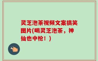 灵芝泡茶视频文案搞笑图片(喝灵芝泡茶，神仙也中枪！)