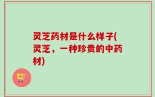 灵芝药材是什么样子(灵芝，一种珍贵的中药材)