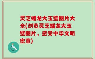 灵芝蟠龙大玉璧图片大全(浏览灵芝蟠龙大玉璧图片，感受中华文明密意)