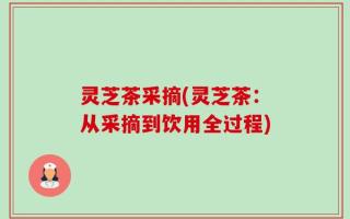 灵芝茶采摘(灵芝茶：从采摘到饮用全过程)