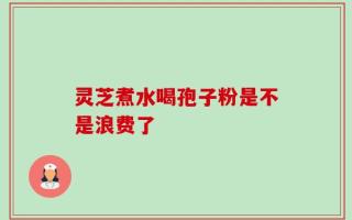 灵芝煮水喝孢子粉是不是浪费了