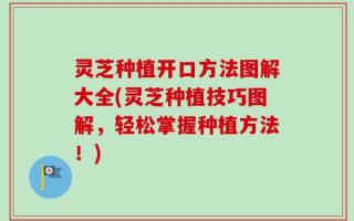 灵芝种植开口方法图解大全(灵芝种植技巧图解，轻松掌握种植方法！)