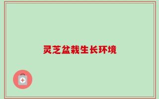 灵芝盆栽生长环境