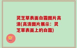 灵芝草表面白霜图片高清(高清图片展示：灵芝草表面上的白霜)