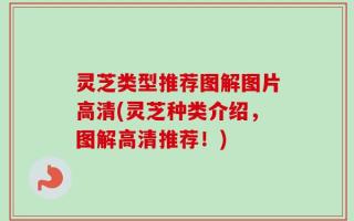 灵芝类型推荐图解图片高清(灵芝种类介绍，图解高清推荐！)