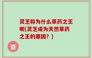 灵芝称为什么草药之王呢(灵芝成为天然草药之王的原因？)