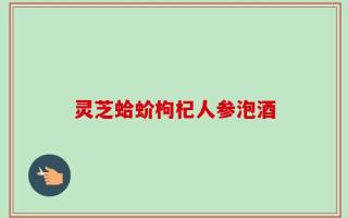 灵芝蛤蚧枸杞人参泡酒
