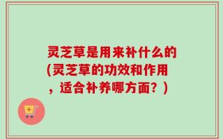 灵芝草是用来补什么的(灵芝草的功效和作用，适合补养哪方面？)
