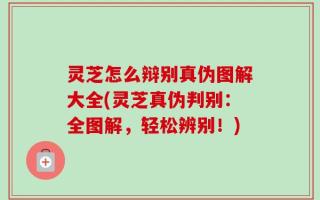 灵芝怎么辩别真伪图解大全(灵芝真伪判别：全图解，轻松辨别！)