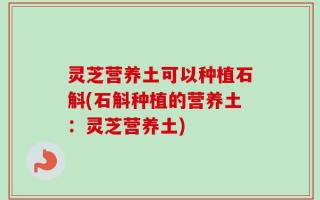 灵芝营养土可以种植石斛(石斛种植的营养土：灵芝营养土)